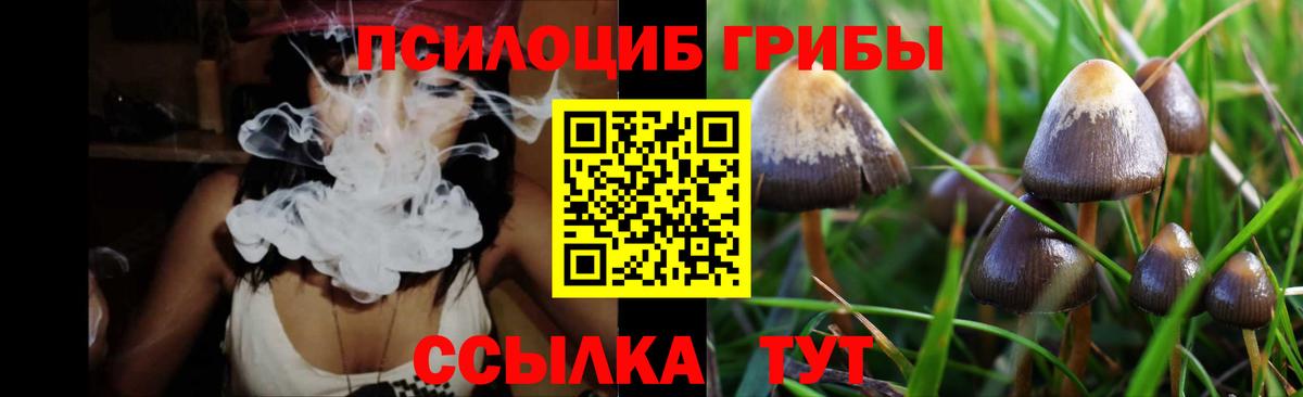 Псилоцибиновые грибы Psilocybe Северодвинск
